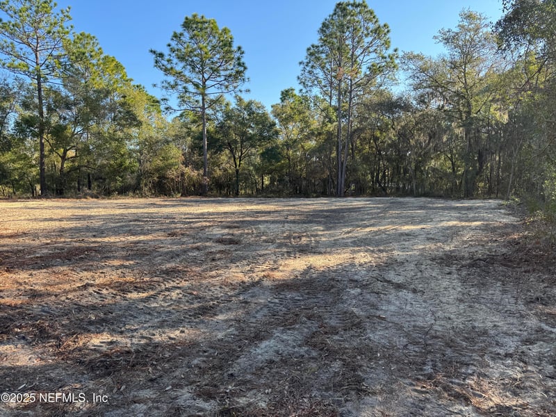 105 Race St, Hawthorne, FL 32640