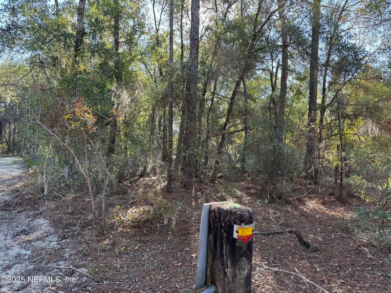 105 Race St, Hawthorne, FL 32640