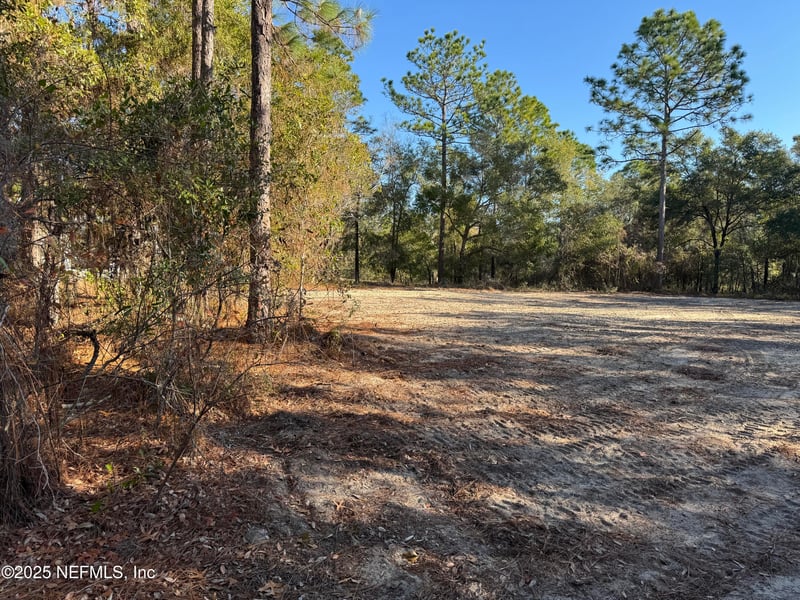 105 Race St, Hawthorne, FL 32640