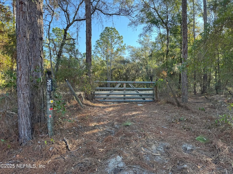 105 Race St, Hawthorne, FL 32640