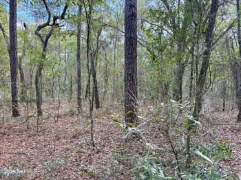 4581 Comet Ave, Keystone Heights, FL 32656