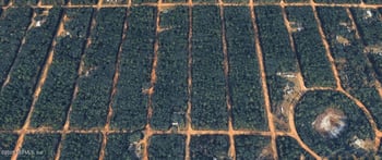 Brett Ave, Interlachen, FL 32148