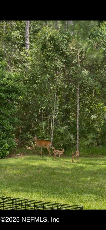 4328 Eagle Landing Pw, Orange Park, FL 32065