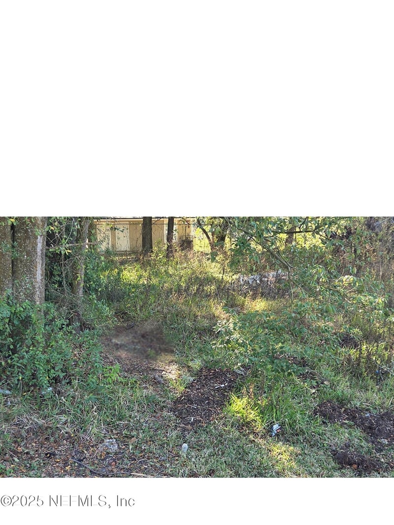 0 Baldwin St, Jacksonville, FL 32209