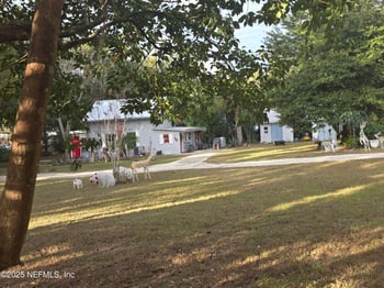 508 Edgewood Ave, Crescent City, FL 32112