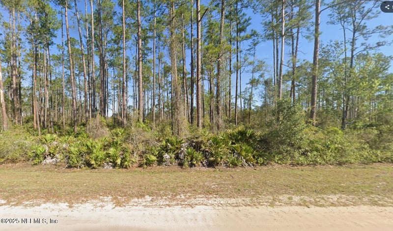 146 Pine Cone Dr, Georgetown, FL 32139