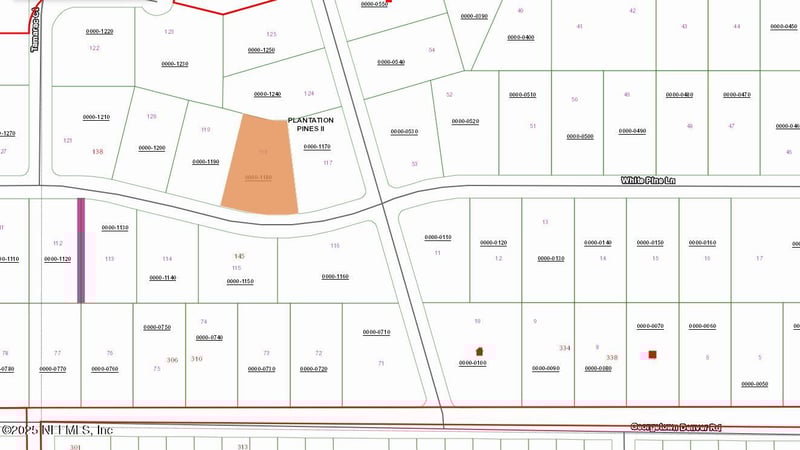 146 Pine Cone Dr, Georgetown, FL 32139