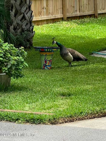 31 Oak St, St Augustine, FL 32084