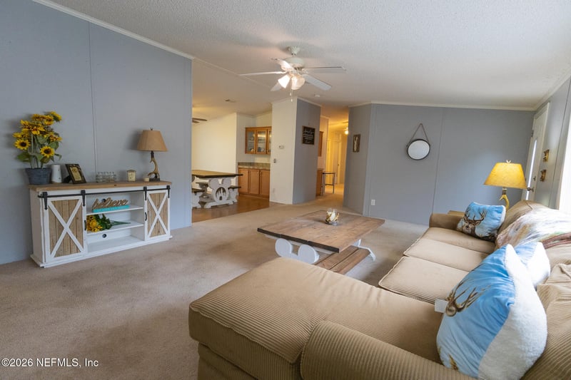 203 Palmetto Ct, Georgetown, FL 32139