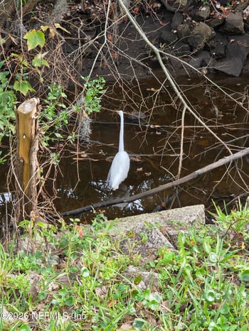 2624 Clyde Dr, Jacksonville, FL 32208