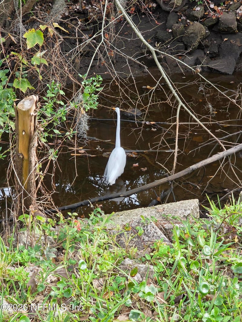 2624 Clyde Dr, Jacksonville, FL 32208