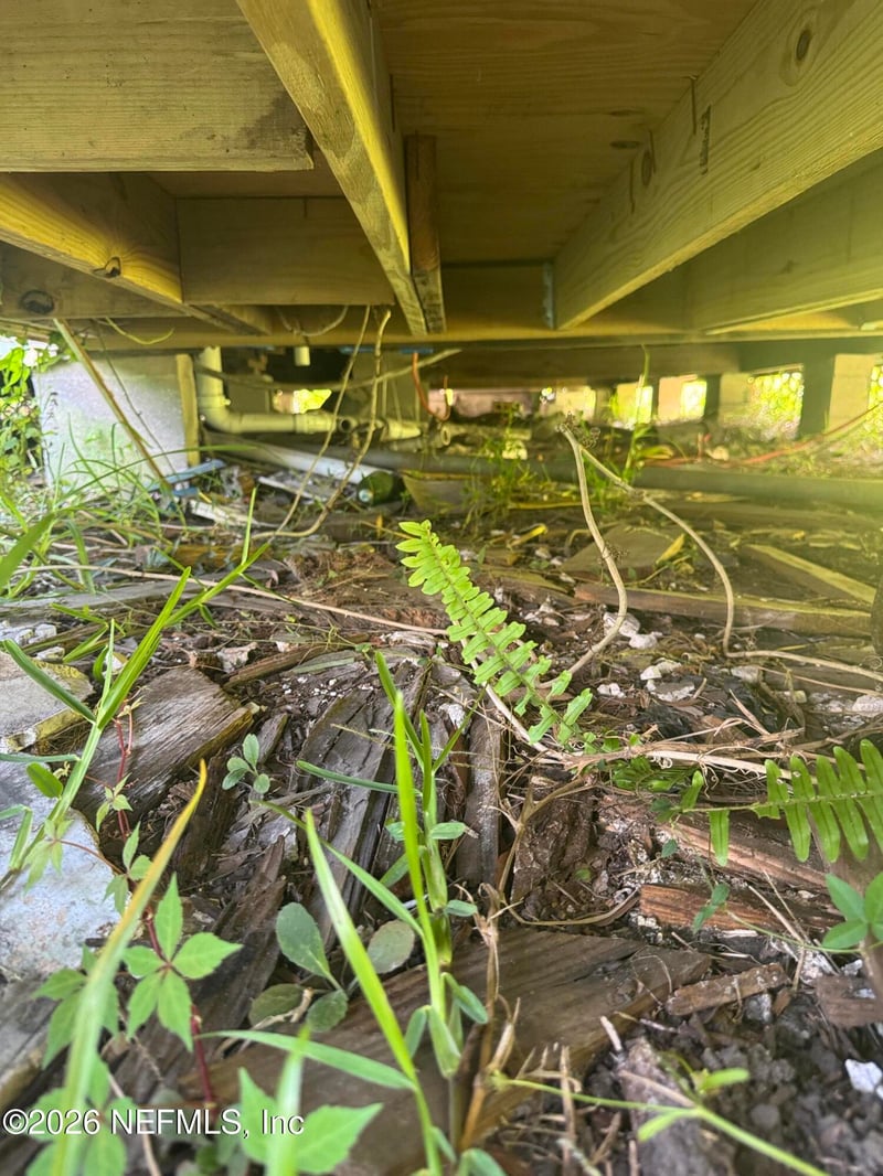 3326 Plateau St, Jacksonville, FL 32206