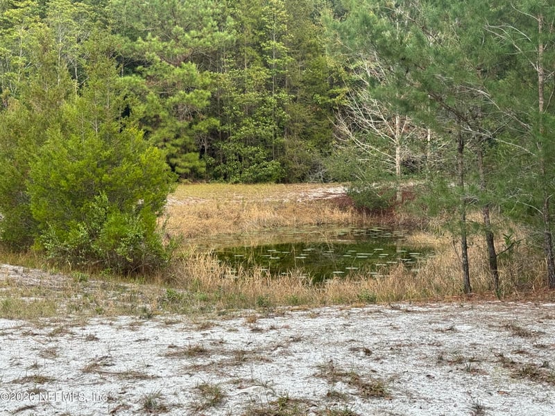 850 Cousintown Rd, Interlachen, FL 32148