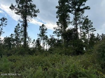 8463 Ford Rd, Bryceville, FL 32009