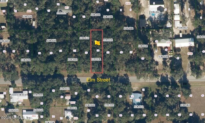 1020 Elm St, Welaka, FL 32193