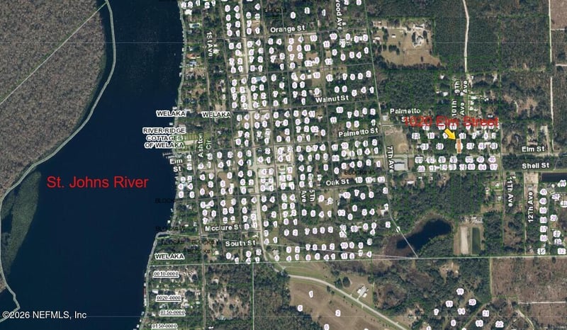 1020 Elm St, Welaka, FL 32193