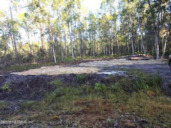 112 Marie Ave, Georgetown, FL 32139