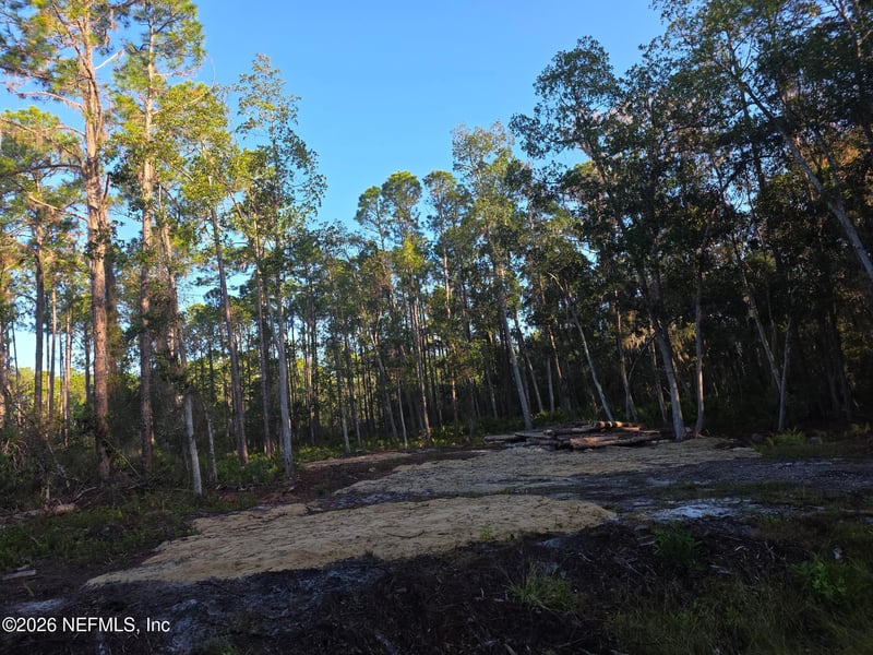 112 Marie Ave, Georgetown, FL 32139