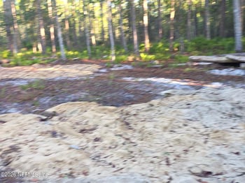 112 Marie Ave, Georgetown, FL 32139