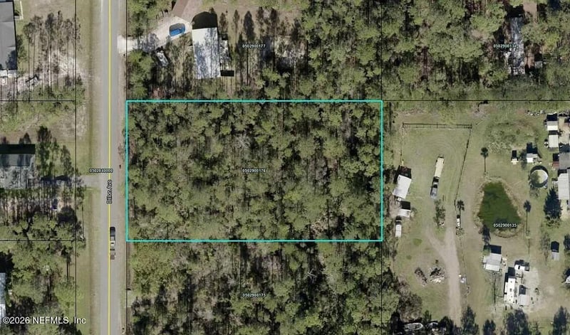 9720 Dillon Ave, Hastings, FL 32145