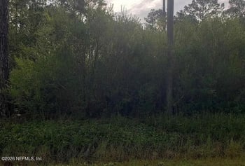 9720 Dillon Ave, Hastings, FL 32145