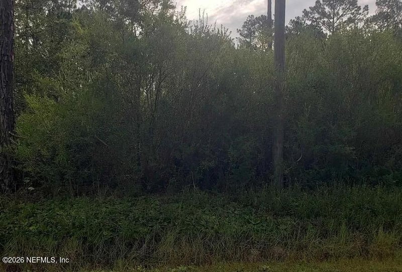 9720 Dillon Ave, Hastings, FL 32145