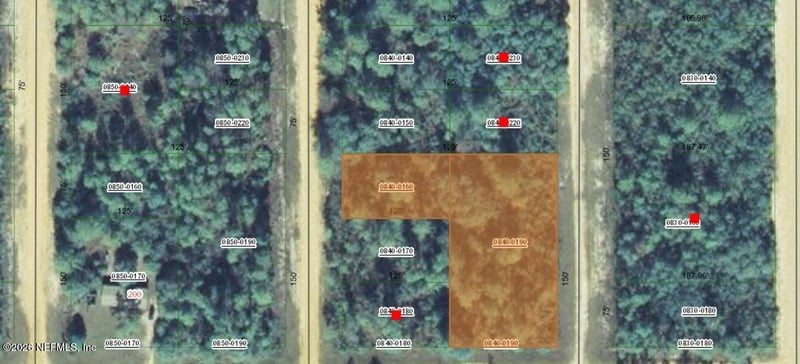 000 Selma Ave, Interlachen, FL 32148