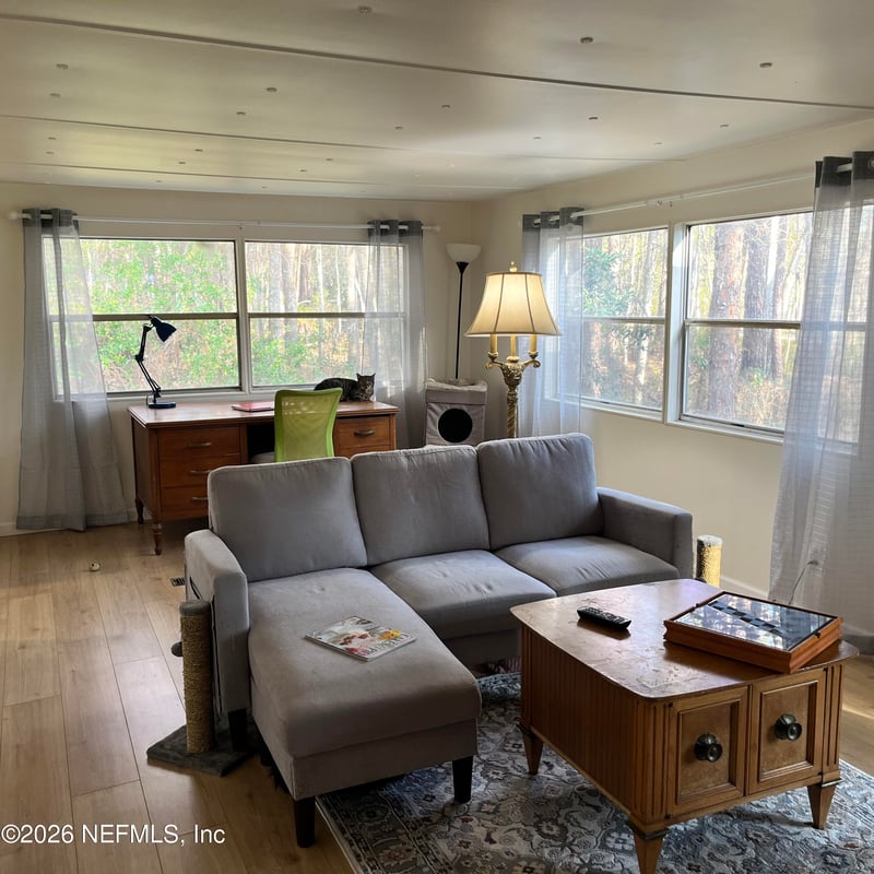 156 Horsetail Ave, Middleburg, FL 32068