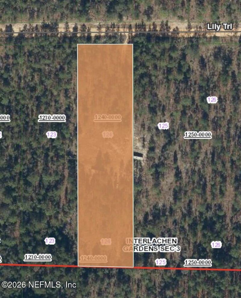 511 Lily Trl, Interlachen, FL 32148