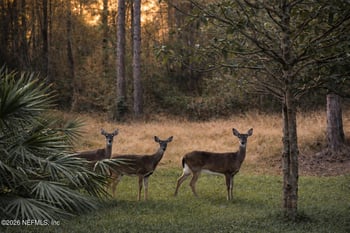 122 Lindsay Dr, Palm Coast, FL 32137