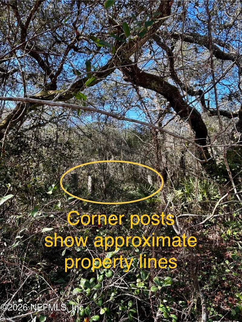 0 Hall Lake Rd, Keystone Heights, FL 32656