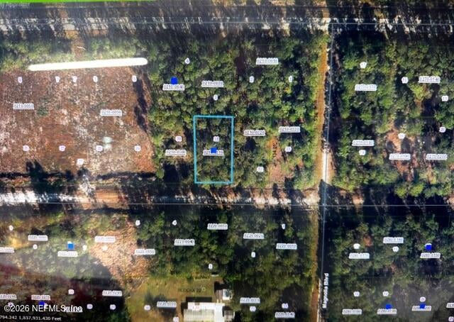 128 Carteret Rd, Georgetown, FL 32139