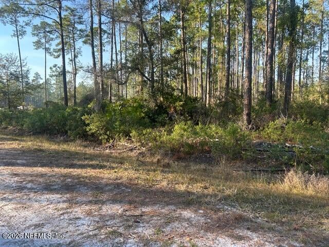 128 Carteret Rd, Georgetown, FL 32139