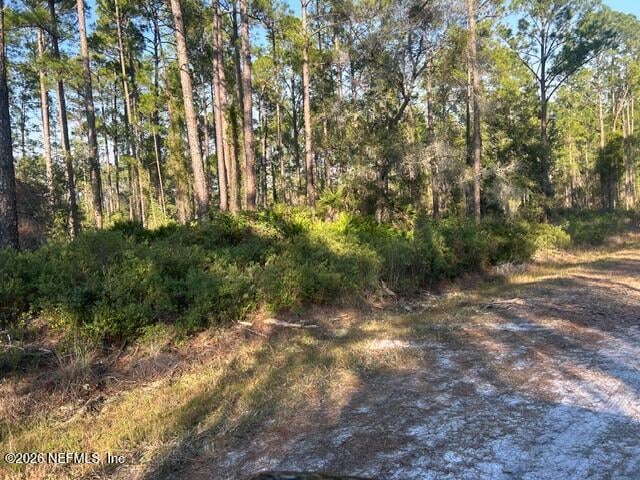 128 Carteret Rd, Georgetown, FL 32139