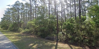 165 Georgetown Denver Rd, Georgetown, FL 32139