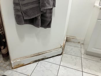 3103 Fox Squirrel Dr, Orange Park, FL 32073