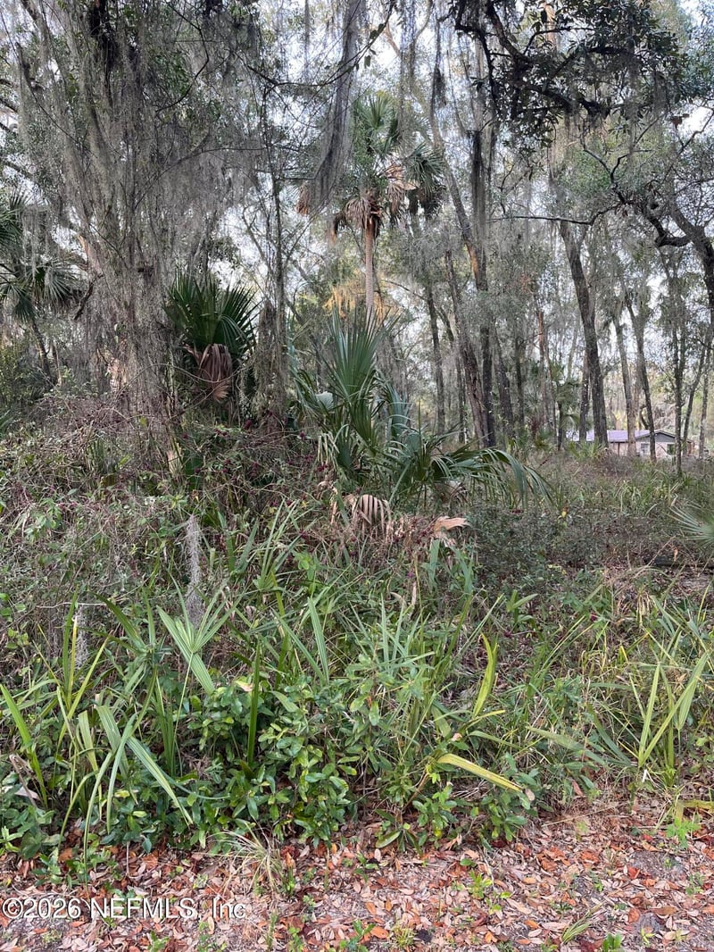 1024 Elm St, Welaka, FL 32193