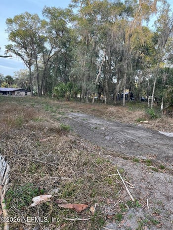 1020 Elm St, Welaka, FL 32193