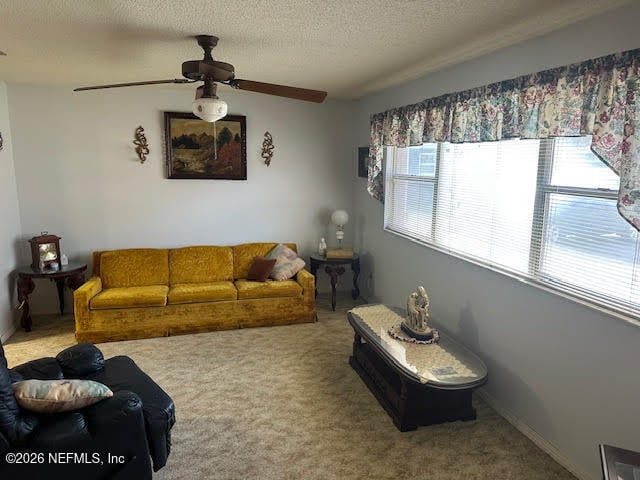 951 Grace Ter, Jacksonville, FL 32205