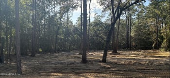 409 Edgehill Rd, Satsuma, FL 32189