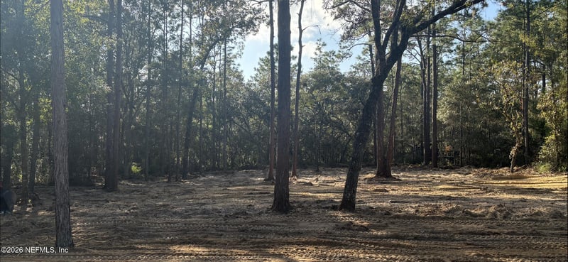 409 Edgehill Rd, Satsuma, FL 32189