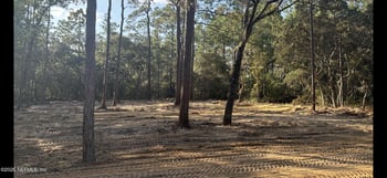 409 Edgehill Rd, Satsuma, FL 32189