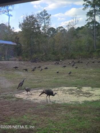 5012 Laurel St, Middleburg, FL 32068