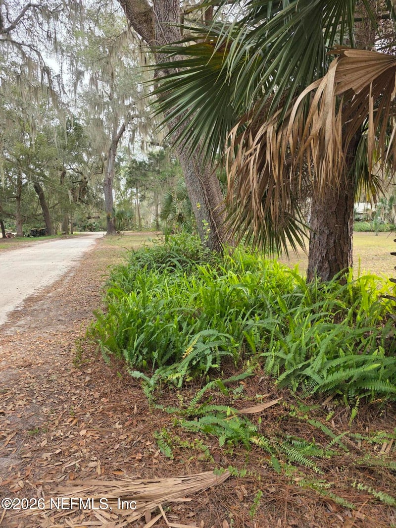 000 Mill St, Welaka, FL 32193