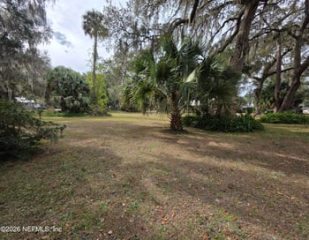 000 Mill St, Welaka, FL 32193