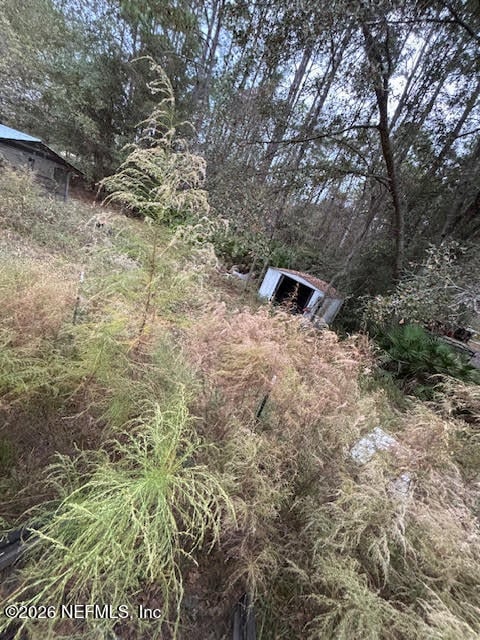 2009 Catherine Ln, Middleburg, FL 32068