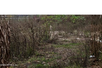 0 Baldwin St, Jacksonville, FL 32209