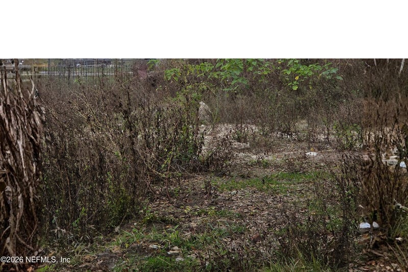 0 Baldwin St, Jacksonville, FL 32209