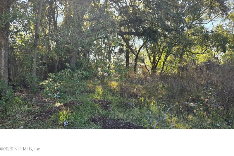 0 Baldwin St, Jacksonville, FL 32209