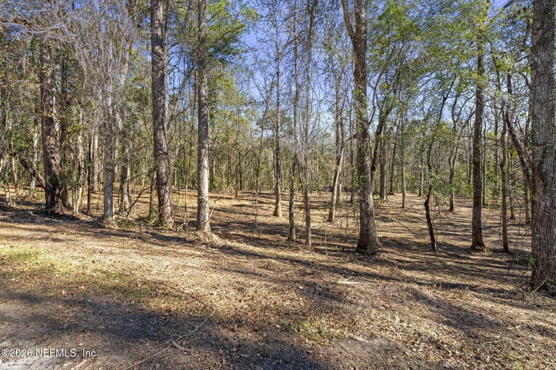 2764 Indigo Cir, Middleburg, FL 32068